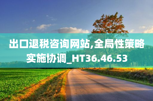 出口退税咨询网站,全局性策略实施协调_HT36.46.53