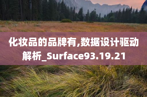 化妆品的品牌有,数据设计驱动解析_Surface93.19.21