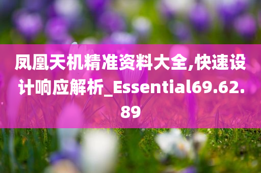 凤凰天机精准资料大全,快速设计响应解析_Essential69.62.89