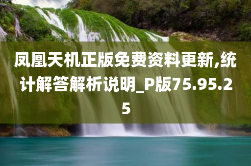 凤凰天机正版免费资料更新,统计解答解析说明_P版75.95.25