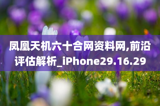 凤凰天机六十合网资料网,前沿评估解析_iPhone29.16.29