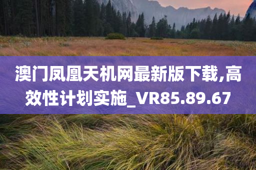 澳门凤凰天机网最新版下载,高效性计划实施_VR85.89.67