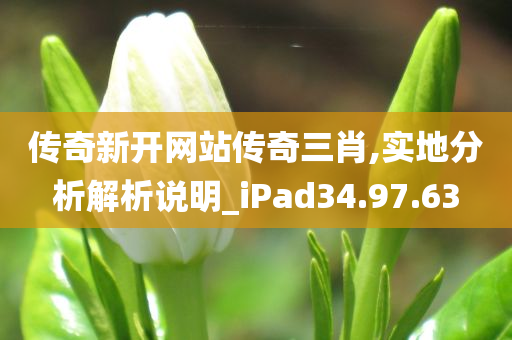 传奇新开网站传奇三肖,实地分析解析说明_iPad34.97.63