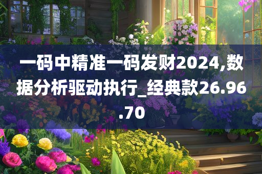 一码中精准一码发财2024,数据分析驱动执行_经典款26.96.70