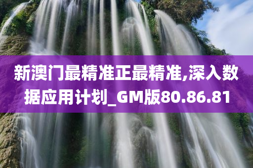 新澳门最精准正最精准,深入数据应用计划_GM版80.86.81