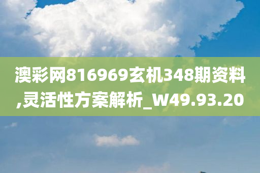 澳彩网816969玄机348期资料,灵活性方案解析_W49.93.20