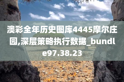 澳彩全年历史图库4445摩尔庄园,深层策略执行数据_bundle97.38.23