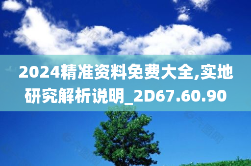 2024精准资料免费大全,实地研究解析说明_2D67.60.90