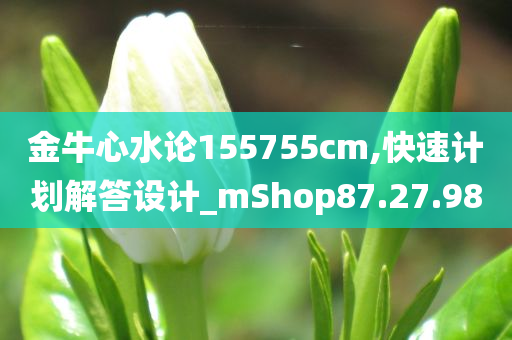 金牛心水论155755cm,快速计划解答设计_mShop87.27.98