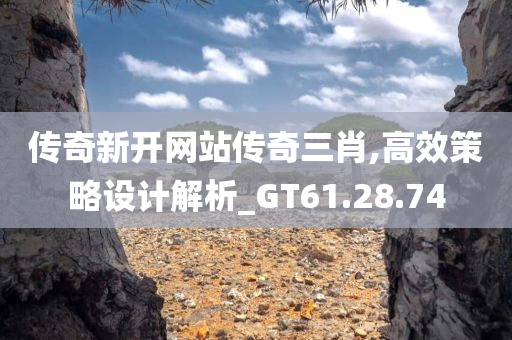 传奇新开网站传奇三肖,高效策略设计解析_GT61.28.74