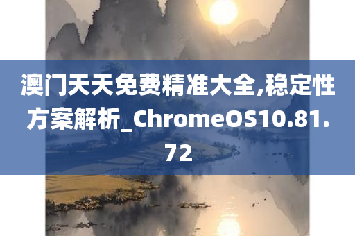 澳门天天免费精准大全,稳定性方案解析_ChromeOS10.81.72