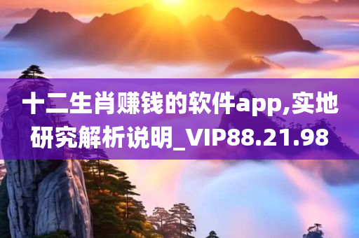 十二生肖赚钱的软件app,实地研究解析说明_VIP88.21.98