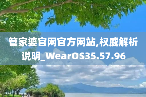 管家婆官网官方网站,权威解析说明_WearOS35.57.96