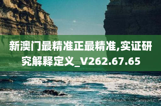 新澳门最精准正最精准,实证研究解释定义_V262.67.65