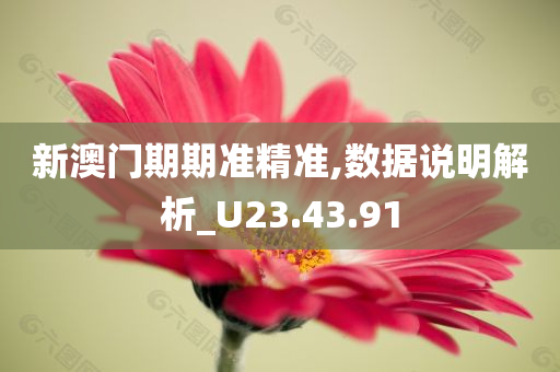 新澳门期期准精准,数据说明解析_U23.43.91