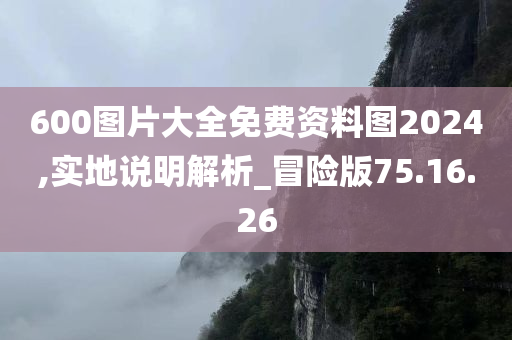 600图片大全免费资料图2024,实地说明解析_冒险版75.16.26