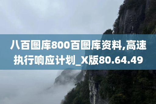 八百图库800百图库资料,高速执行响应计划_X版80.64.49