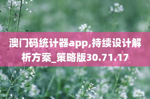 澳门码统计器app,持续设计解析方案_策略版30.71.17