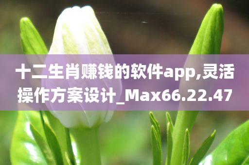 十二生肖赚钱的软件app,灵活操作方案设计_Max66.22.47