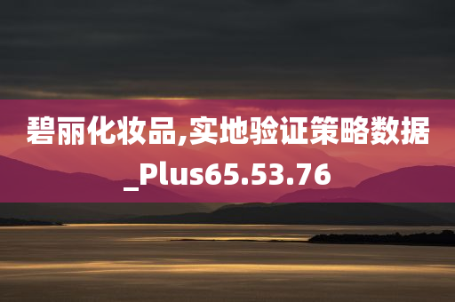 碧丽化妆品,实地验证策略数据_Plus65.53.76