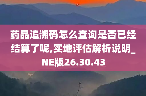 药品追溯码怎么查询是否已经结算了呢,实地评估解析说明_NE版26.30.43