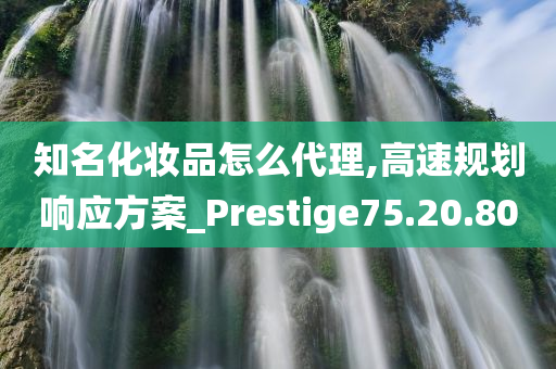 知名化妆品怎么代理,高速规划响应方案_Prestige75.20.80