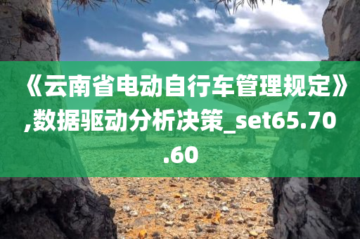 《云南省电动自行车管理规定》,数据驱动分析决策_set65.70.60