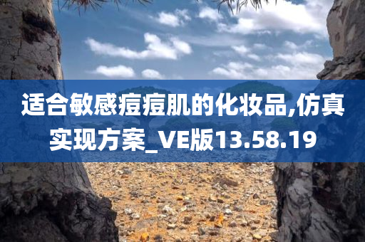 适合敏感痘痘肌的化妆品,仿真实现方案_VE版13.58.19