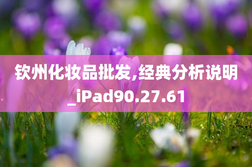 钦州化妆品批发,经典分析说明_iPad90.27.61