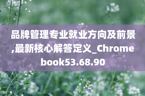 品牌管理专业就业方向及前景,最新核心解答定义_Chromebook53.68.90