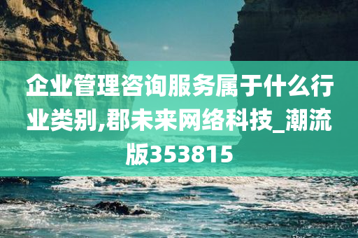 企业管理咨询服务属于什么行业类别,郡未来网络科技_潮流版353815