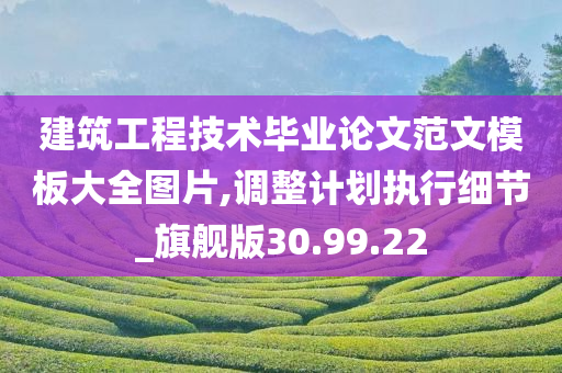 建筑工程技术毕业论文范文模板大全图片,调整计划执行细节_旗舰版30.99.22