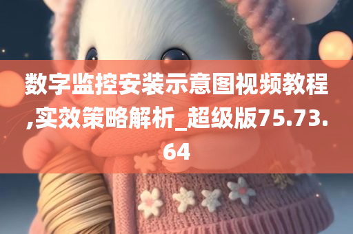 数字监控安装示意图视频教程,实效策略解析_超级版75.73.64