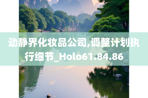 动静界化妆品公司,调整计划执行细节_Holo61.84.86