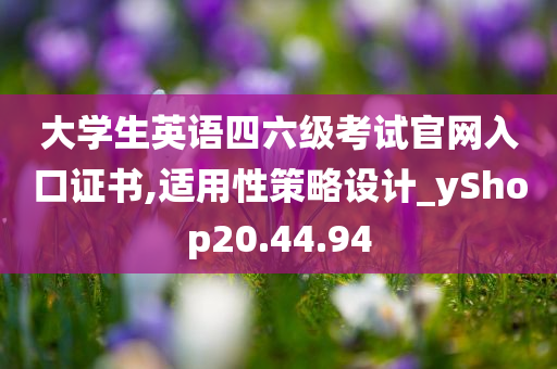 大学生英语四六级考试官网入口证书,适用性策略设计_yShop20.44.94