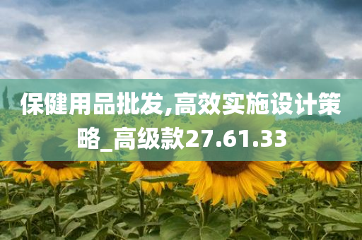 保健用品批发,高效实施设计策略_高级款27.61.33