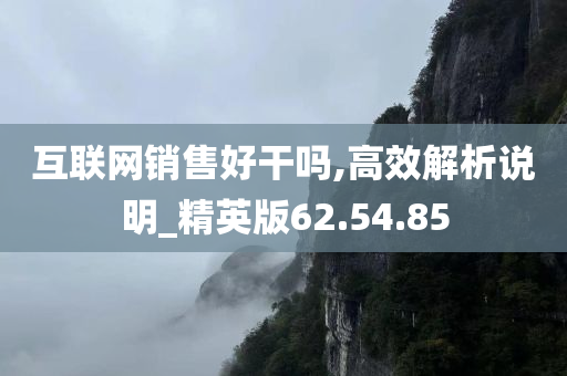 互联网销售好干吗,高效解析说明_精英版62.54.85