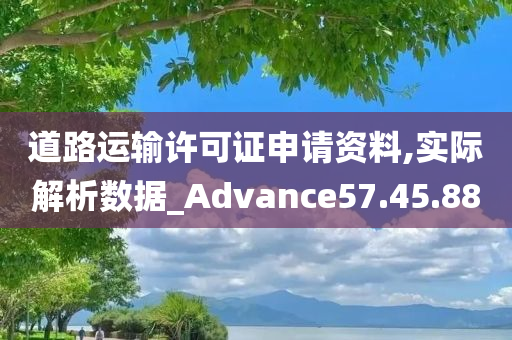 道路运输许可证申请资料,实际解析数据_Advance57.45.88