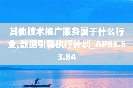 其他技术推广服务属于什么行业,数据引导执行计划_AP85.53.84