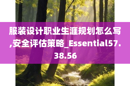 服装设计职业生涯规划怎么写,安全评估策略_Essential57.38.56