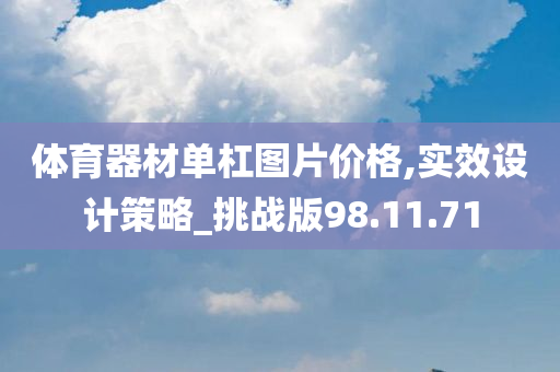 体育器材单杠图片价格,实效设计策略_挑战版98.11.71