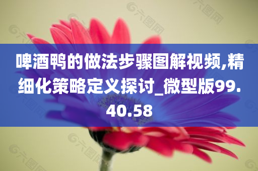 啤酒鸭的做法步骤图解视频,精细化策略定义探讨_微型版99.40.58