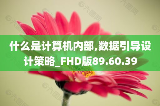 什么是计算机内部,数据引导设计策略_FHD版89.60.39