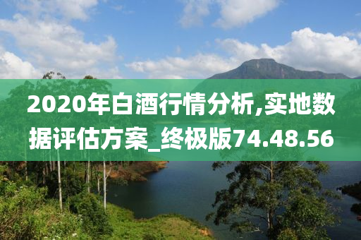 2020年白酒行情分析,实地数据评估方案_终极版74.48.56