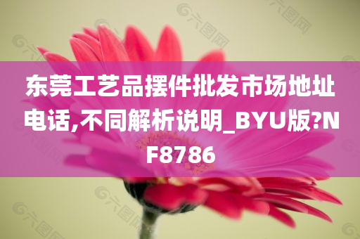 东莞工艺品摆件批发市场地址电话,不同解析说明_BYU版?NF8786