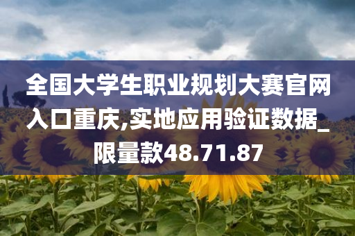 全国大学生职业规划大赛官网入口重庆,实地应用验证数据_限量款48.71.87