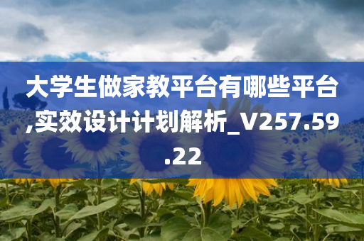 大学生做家教平台有哪些平台,实效设计计划解析_V257.59.22