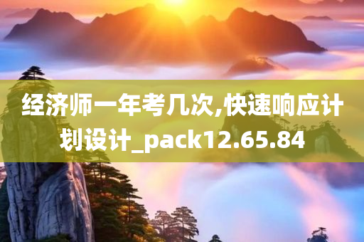 经济师一年考几次,快速响应计划设计_pack12.65.84