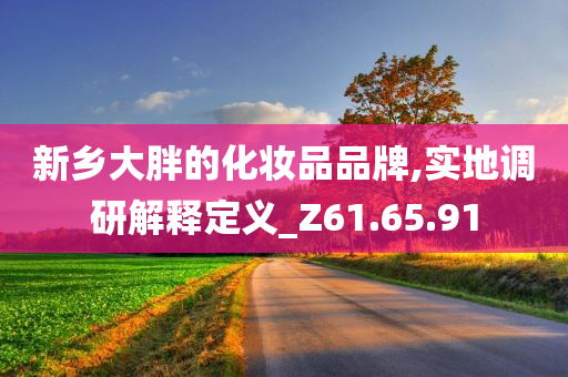 新乡大胖的化妆品品牌,实地调研解释定义_Z61.65.91