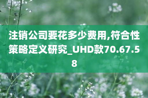 注销公司要花多少费用,符合性策略定义研究_UHD款70.67.58